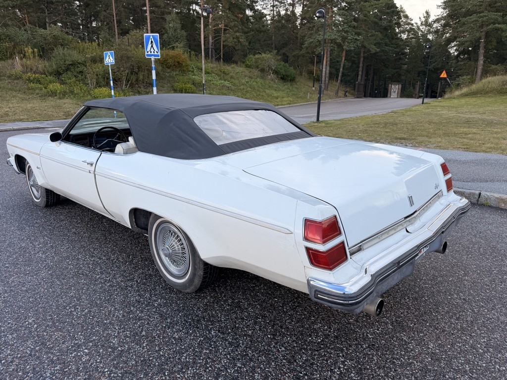 Oldsmobile Delta 1974, bild 3/10