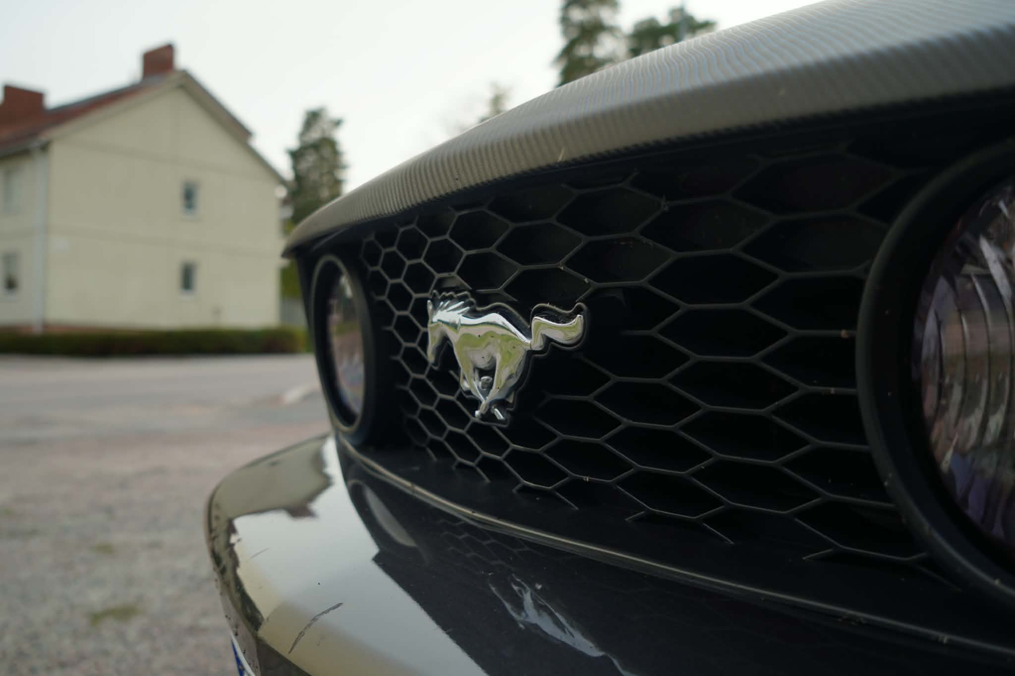 Ford Mustang GT GT 2008, bild 6/46