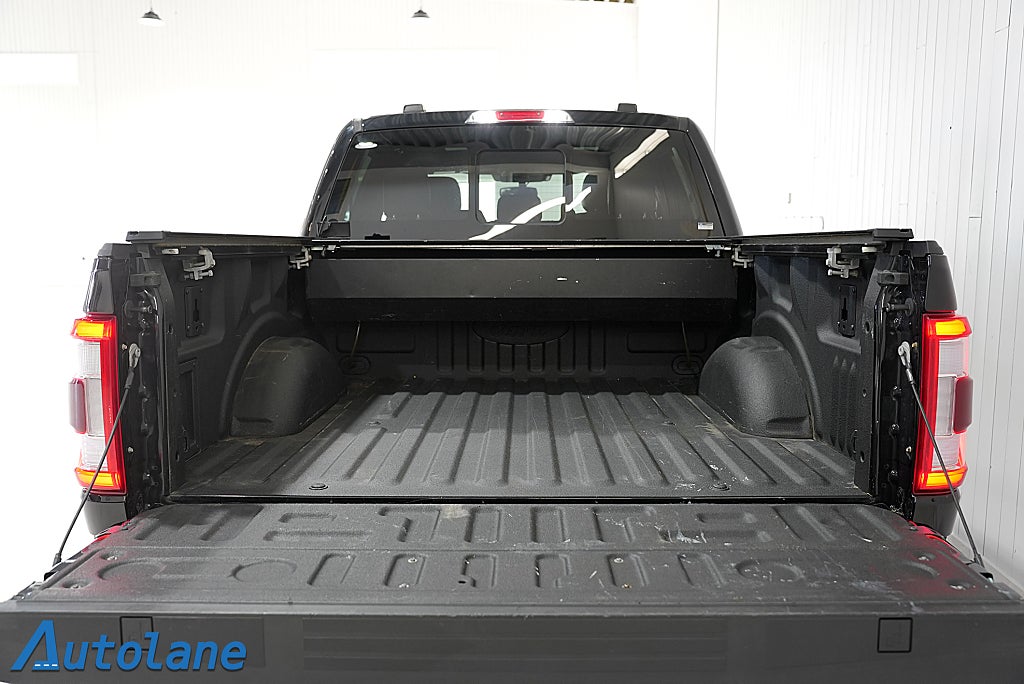 Ford F-150 SuperCrew 3.5 V6 4x4 Platinum, Panorama 406hk