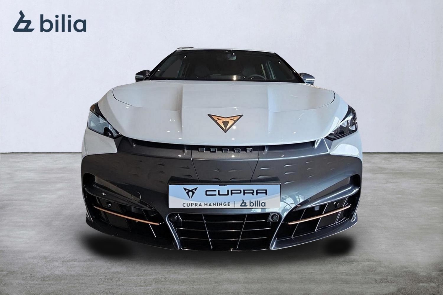 Cupra Tavascan 2025, bild 5/45