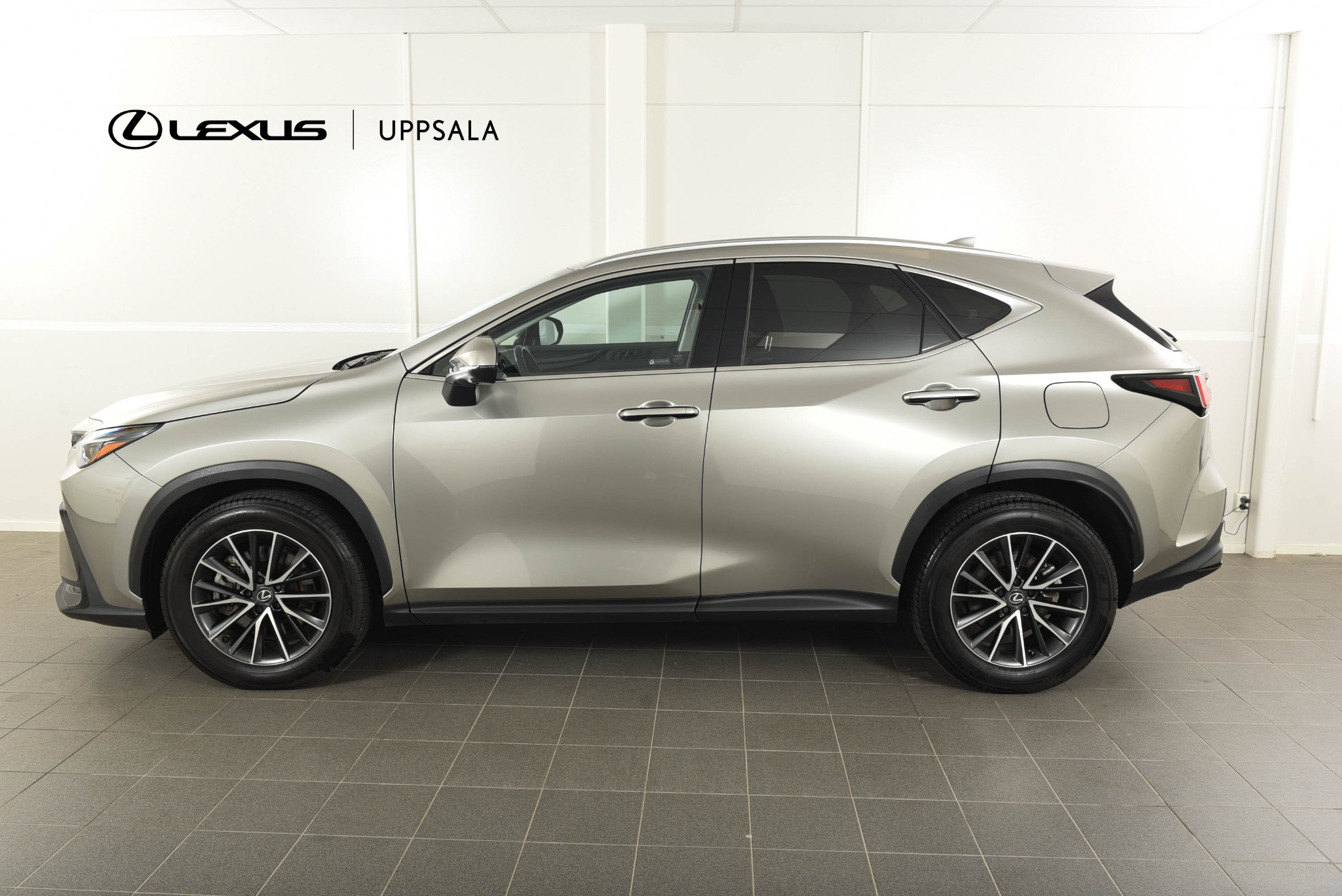 Lexus NX 2024, photo 3/45