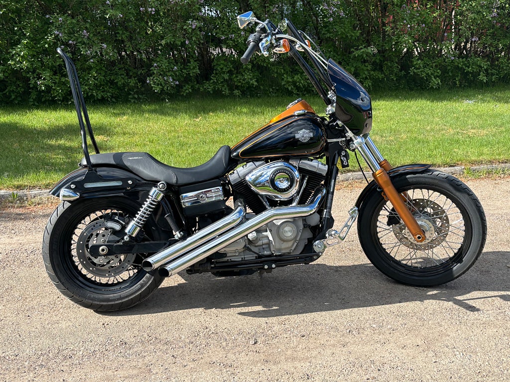 Harley-Davidson Street Bob 1.6 Twin Cam 96,2009