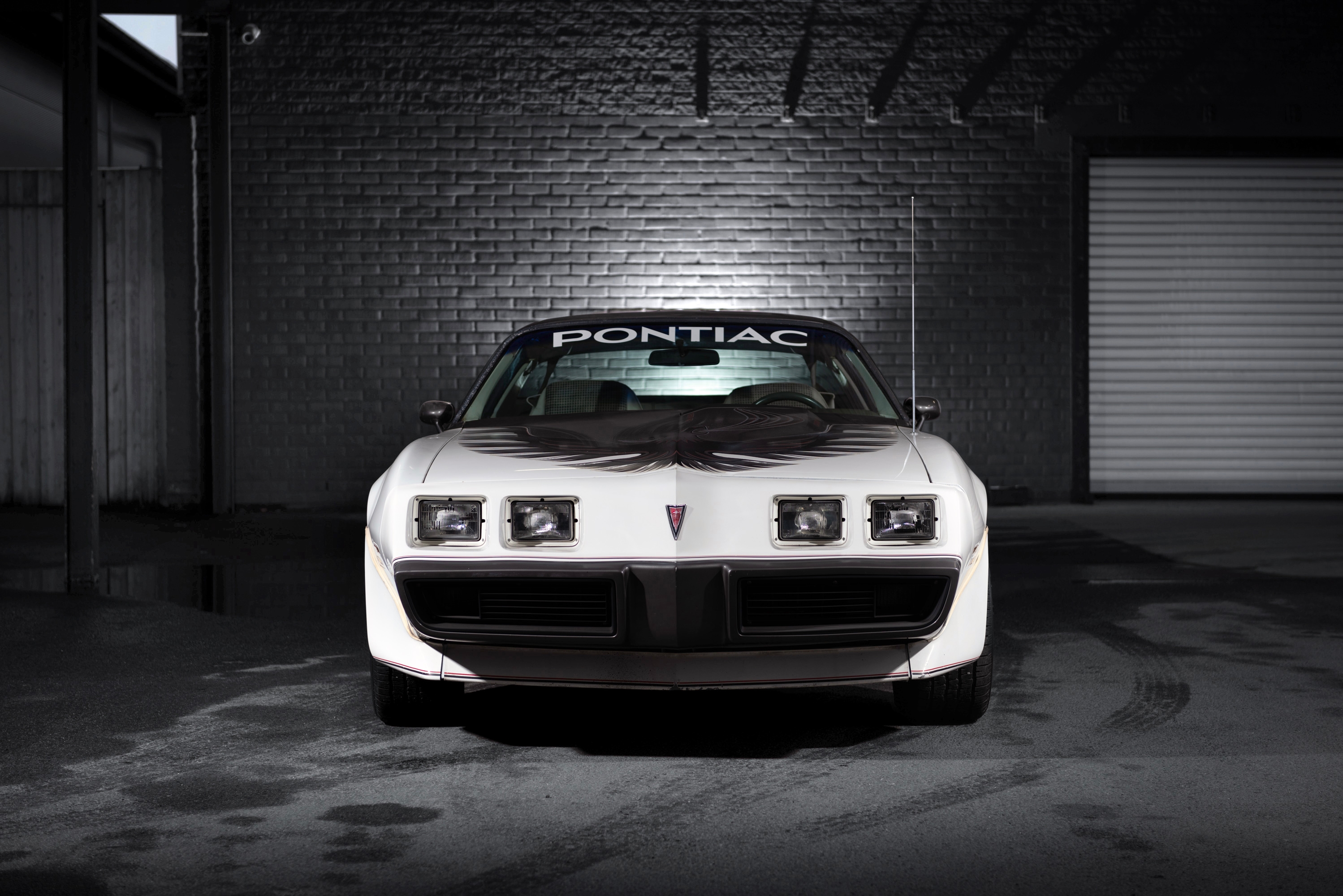 Pontiac Trans Am Turbo Pace Car 1980, bild 4/40