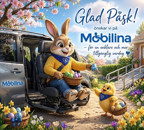 Ford Tourneo Connect Handikappanpassad Rullstolsbil 