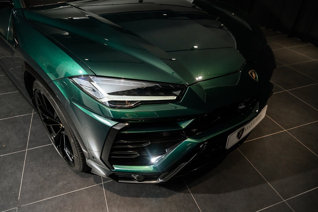 Gallery image 12 of 12