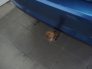 Kombi Volkswagen Golf 20 av 20