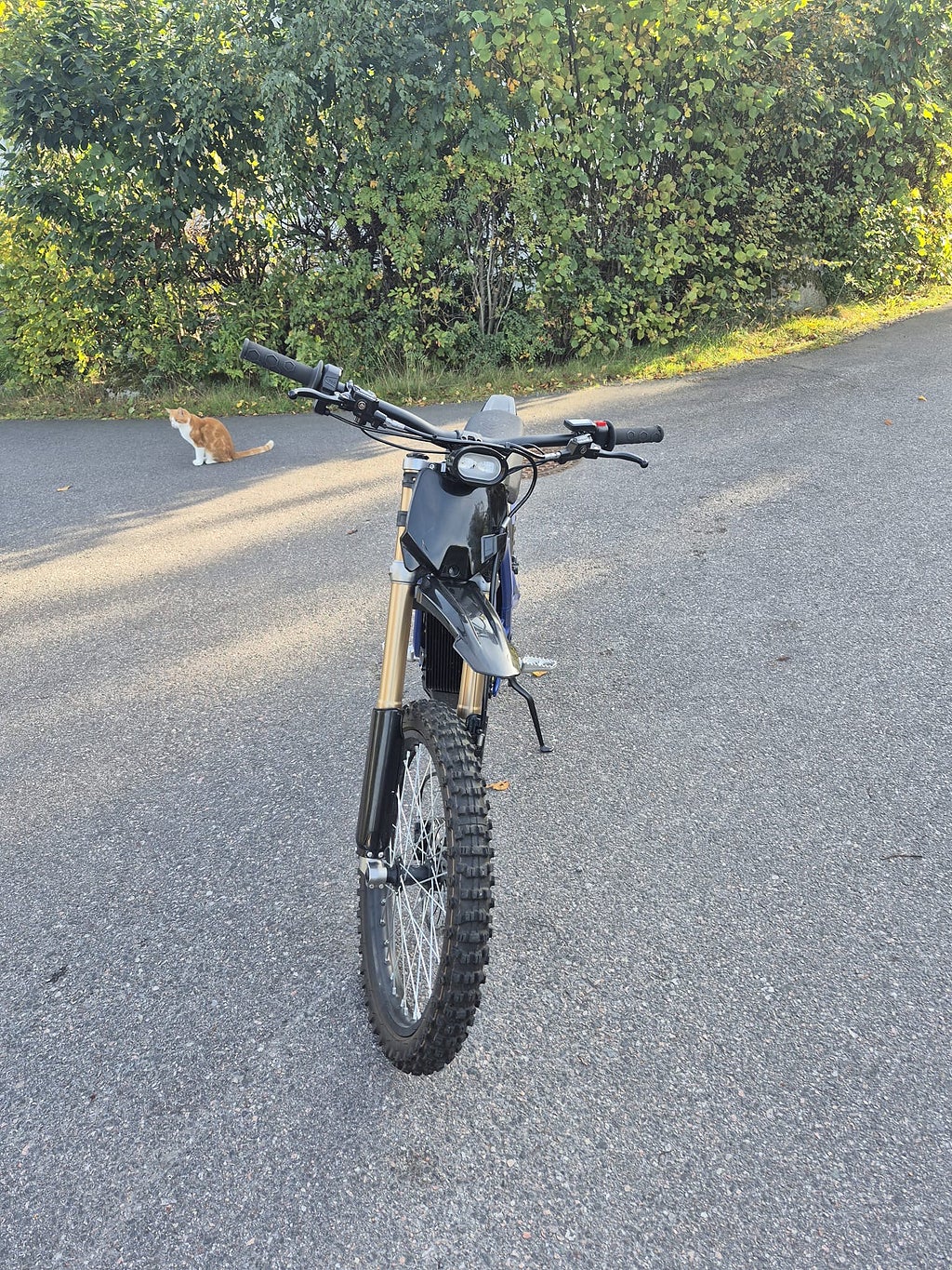 Sur-Ron Light Bee 