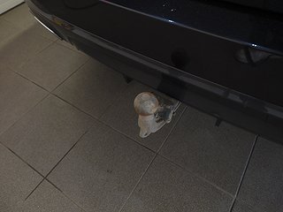 Kombi BMW 520 24 av 24