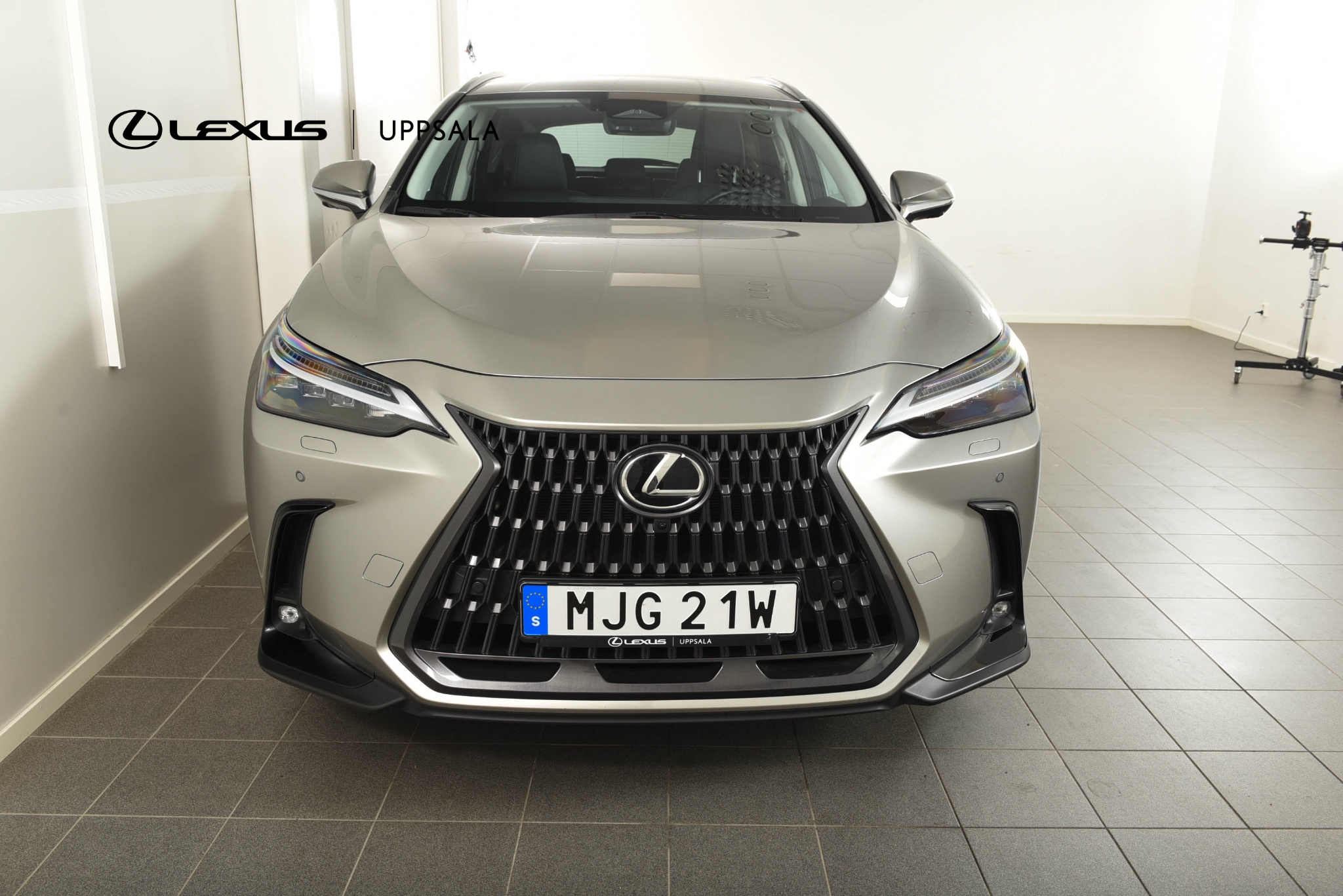 Lexus NX 2024, photo 5/45
