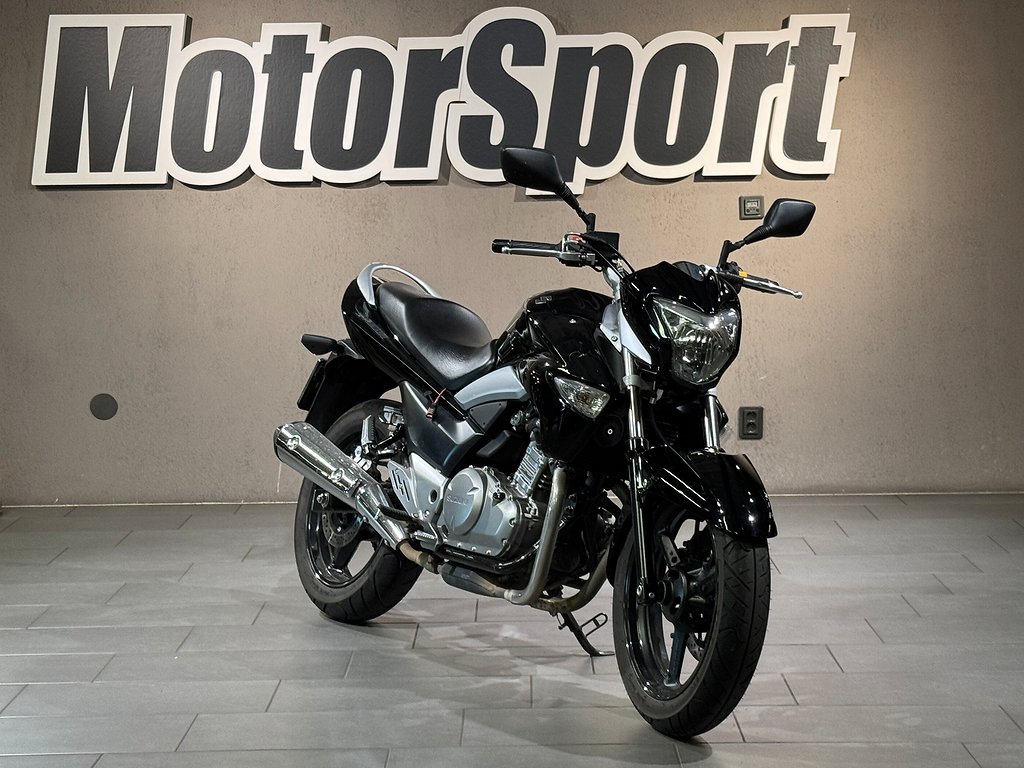Suzuki GW250 INAZUMA