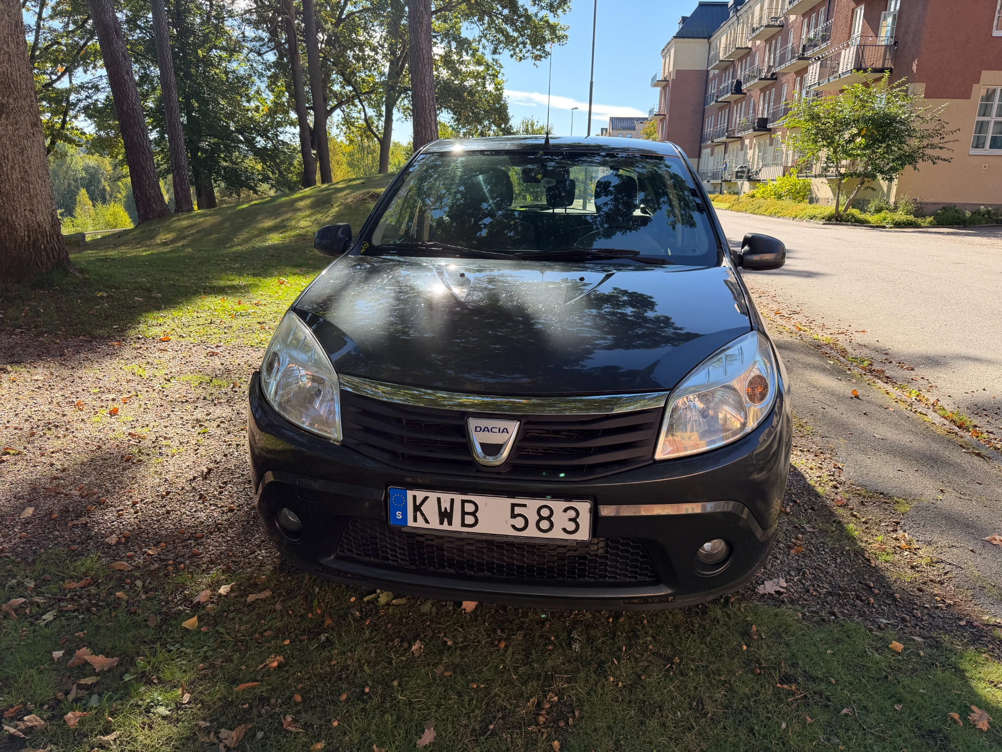 Dacia Sandero 1.6 2010, bild 3/10