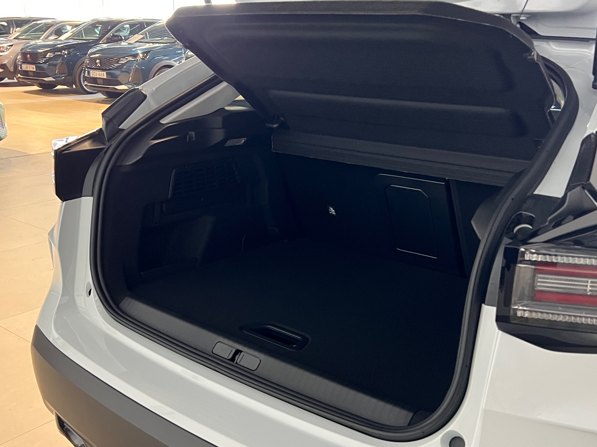 Citroen C4 Max Hybrid 145hk Auto 2026, bild 7/53