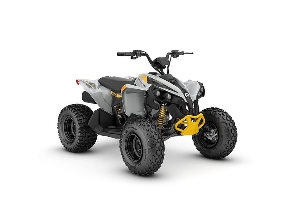 Can-Am Renegade 110 EFI