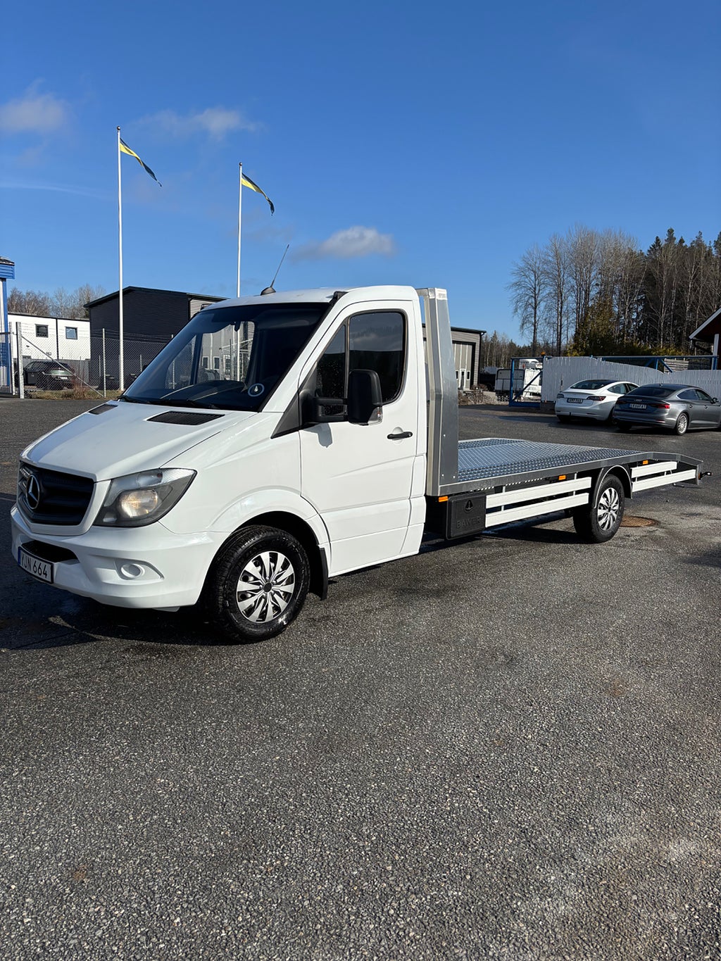 Mercedes-Benz Sprinter 316 CDI Biltransport
