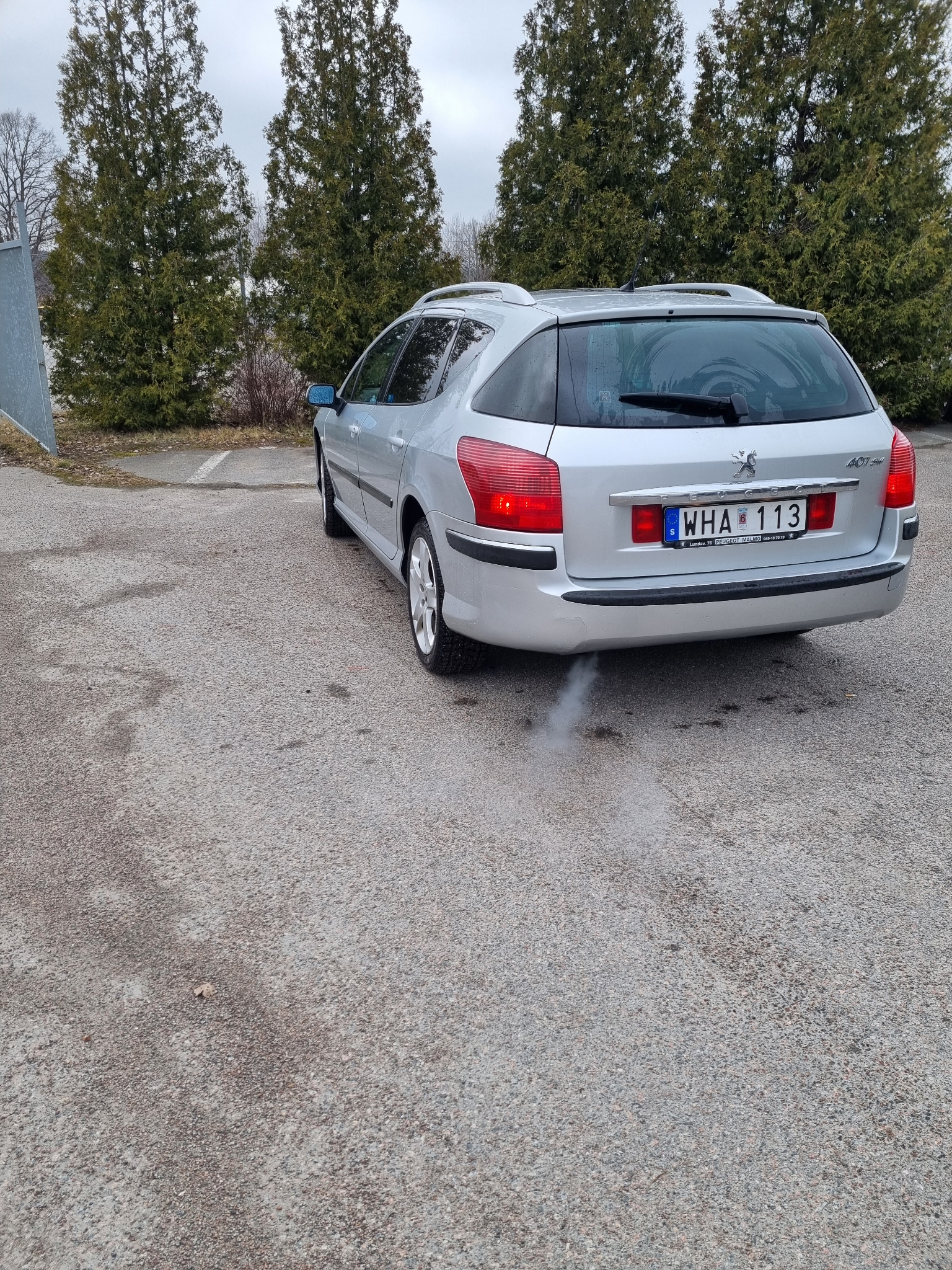 Peugeot 407 SW 2005, bild 3/34