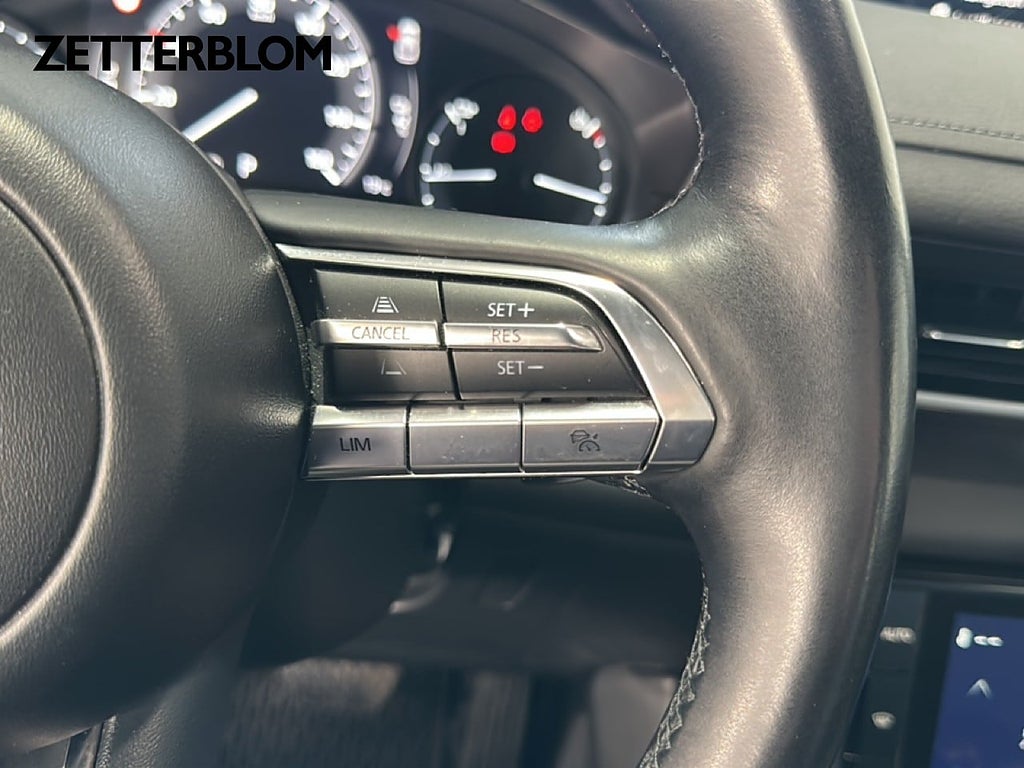 SUV Mazda MX-30 16 av 18