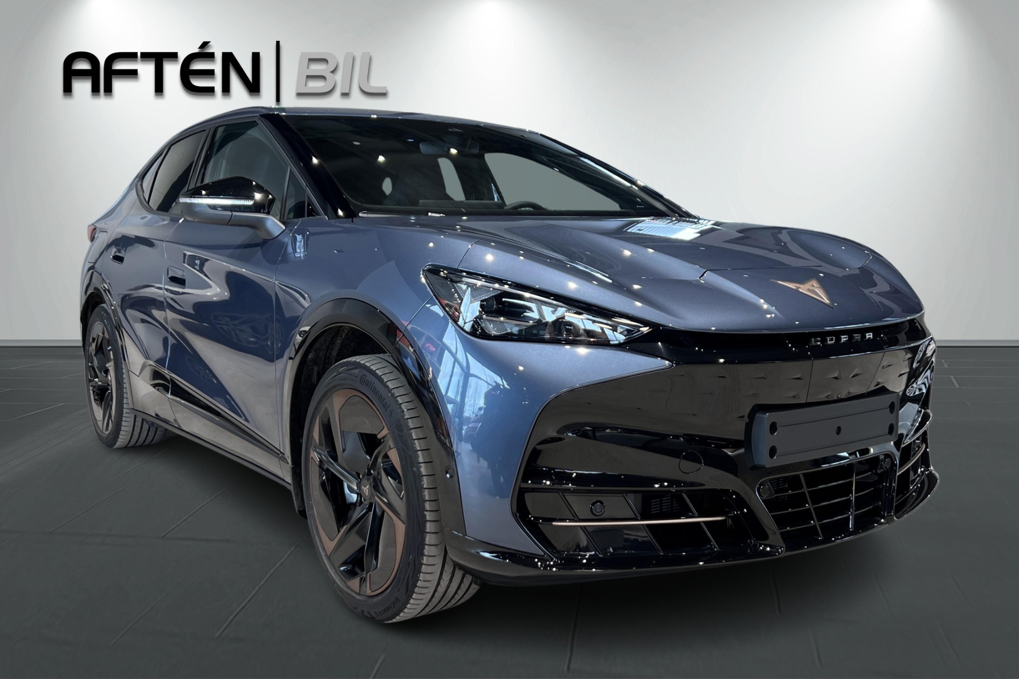 Cupra Tavascan 2025, bild 4/10