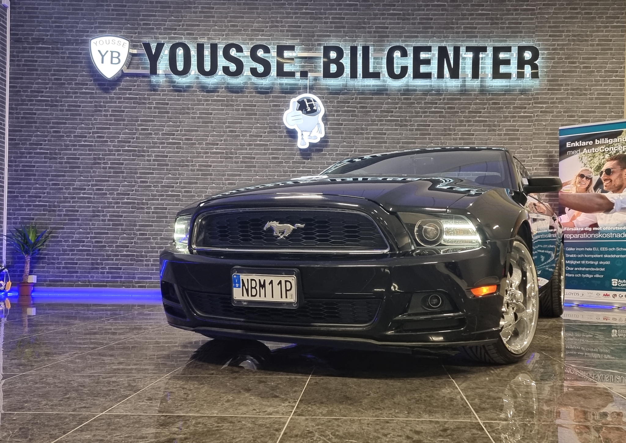 Ford Mustang 2014, bild 3/58