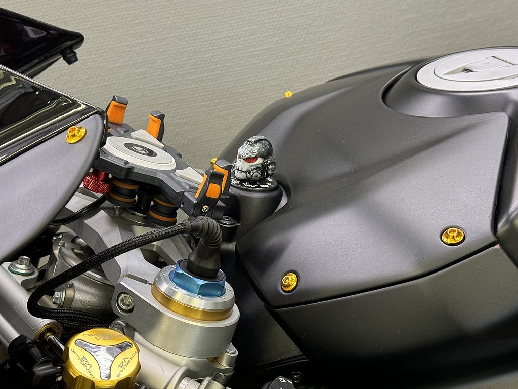 Ducati Panigale V4S DQS | Ventiljusterad | Kamera | Öhlins | Nytt däck