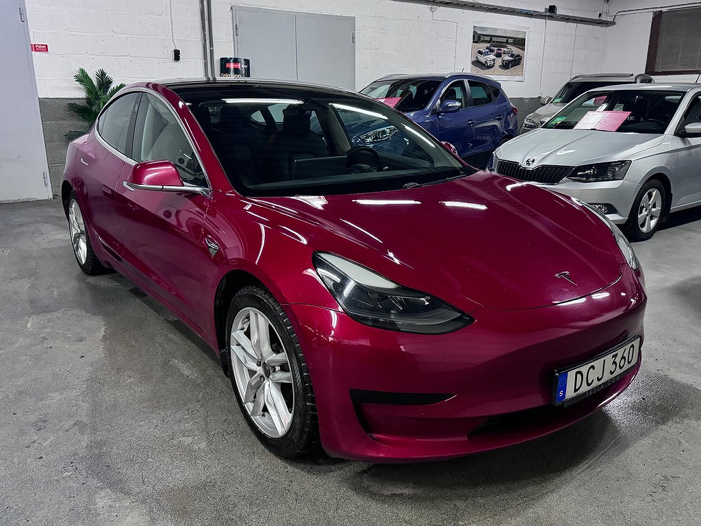 Tesla Model 3 Standard Range Plus Auto-Pilot Panorama 239 kW