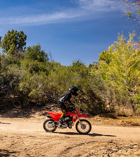 Honda Crf110f 