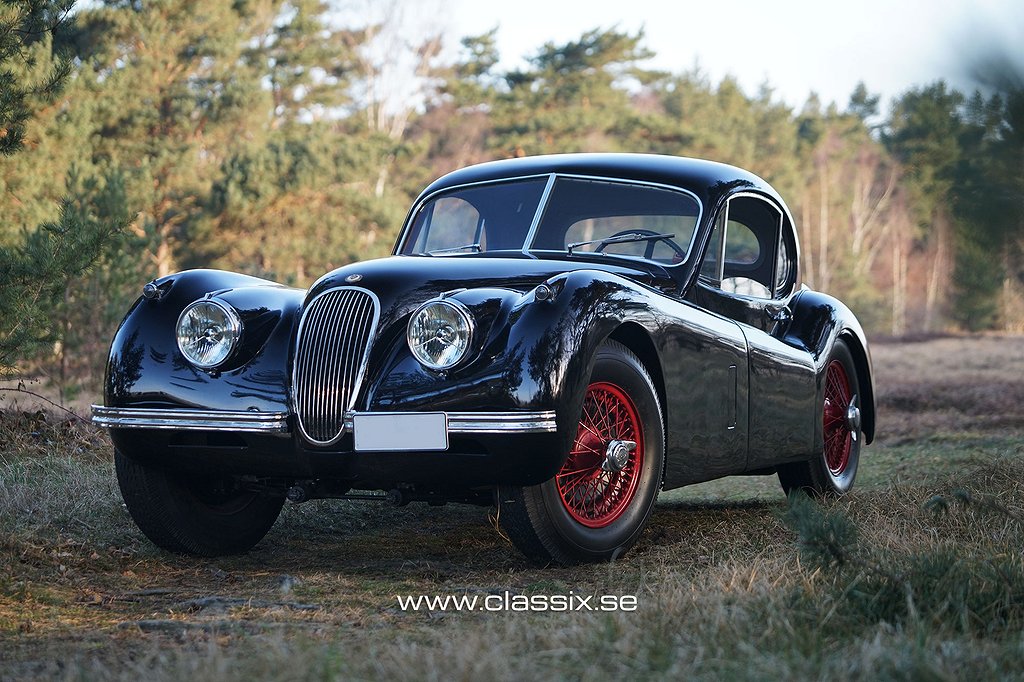 Jaguar XK120 FHC Coupe