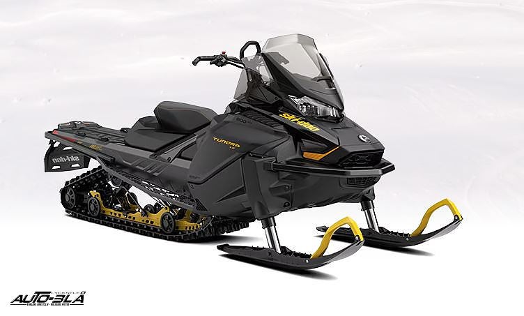 Ski-Doo Tundra LE 600 EFI -85 HP 154in3900mm 1.5in 38mm Charger Electric 4.5 in