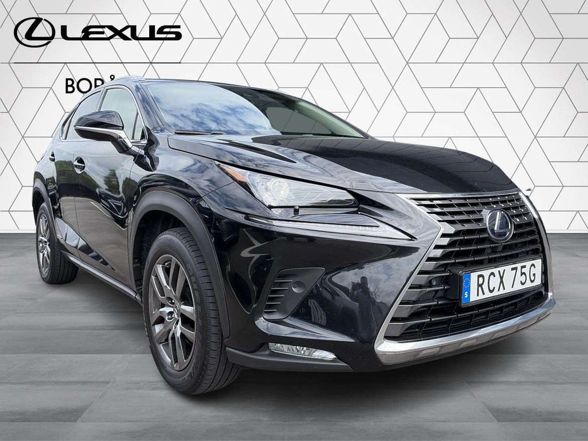Lexus NX 300h AWD Executive 2020, photo 3/58