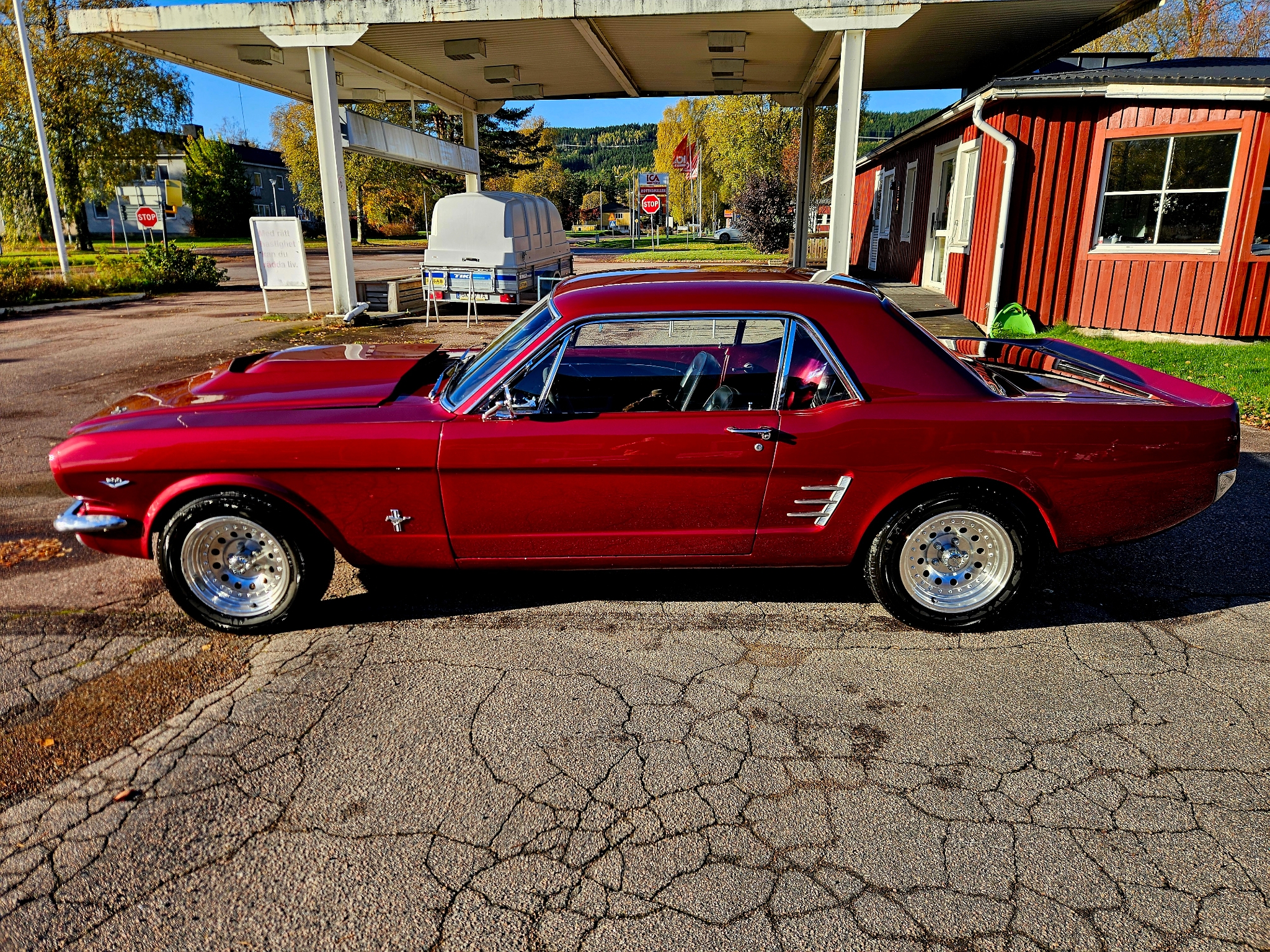 Ford Mustang Hardtop 4.7 V8 1966, bild 3/10