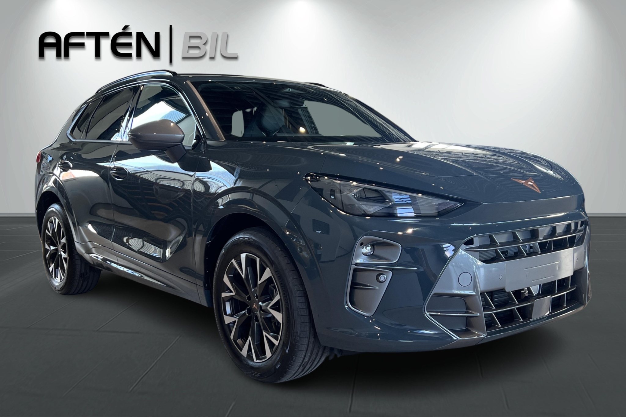 Cupra Terramar 2026, bild 4/10