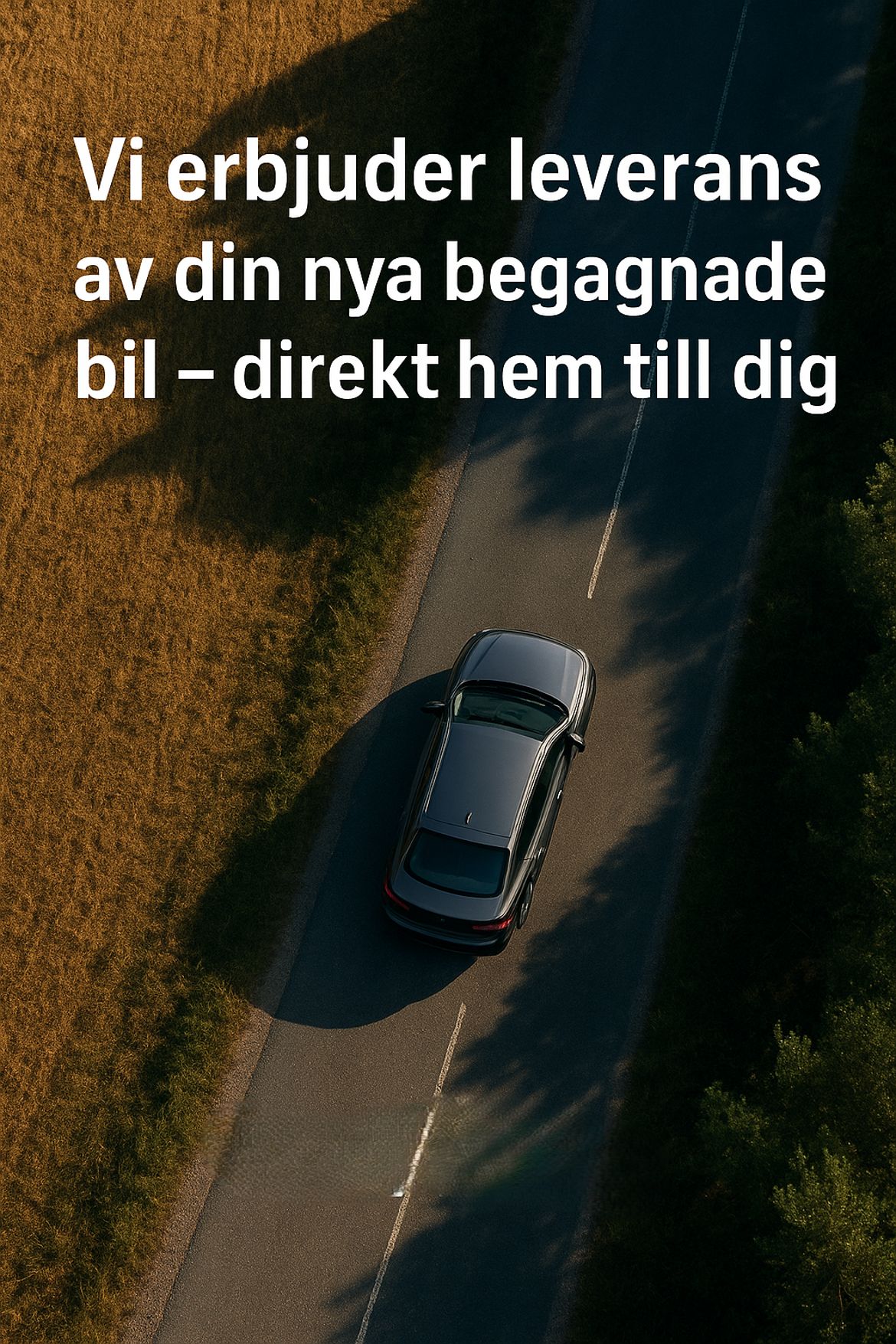 Volkswagen Tiguan 2023, bild 3/51