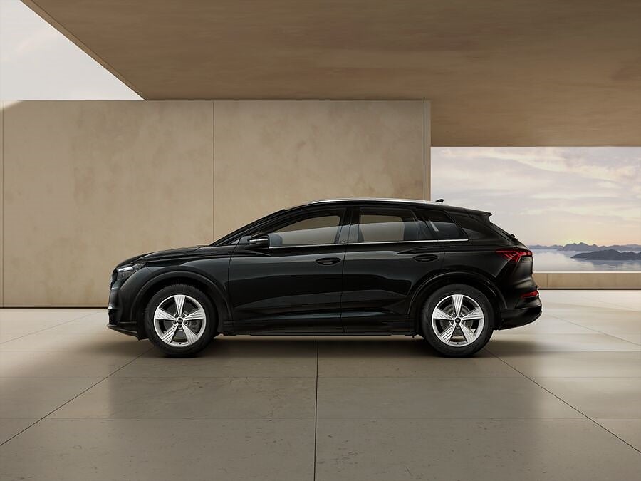 Audi Audi SUV PERFORMANCE 210 KW