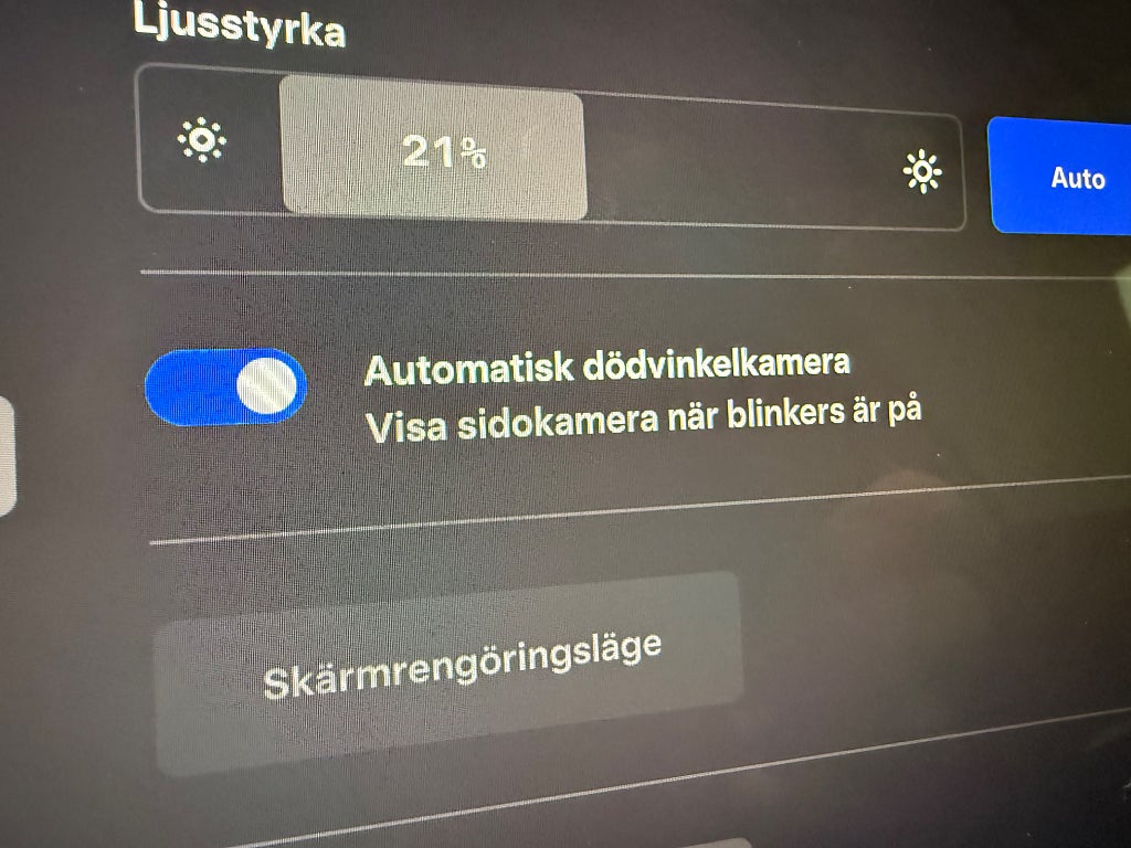 Tesla Model Y Long Range AWD Glastak 514hk - bild 26
