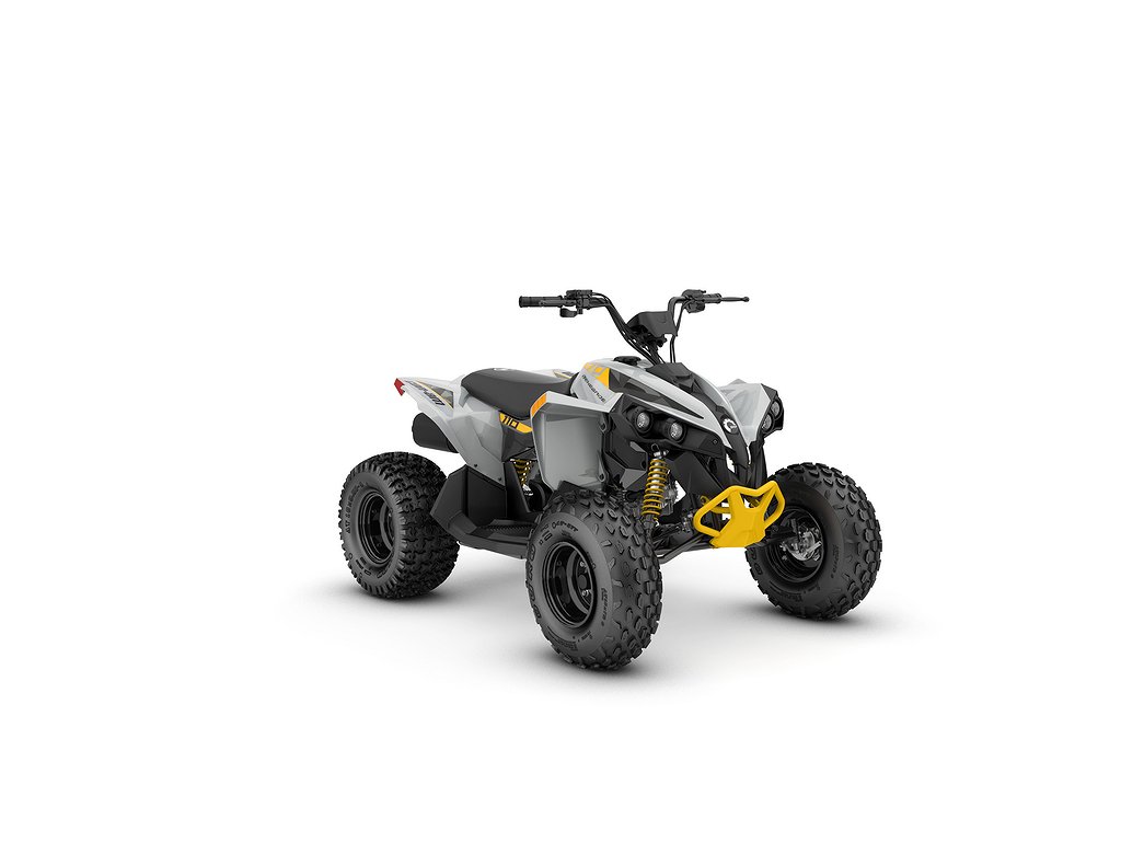 Can-Am Renegade 110 EFI