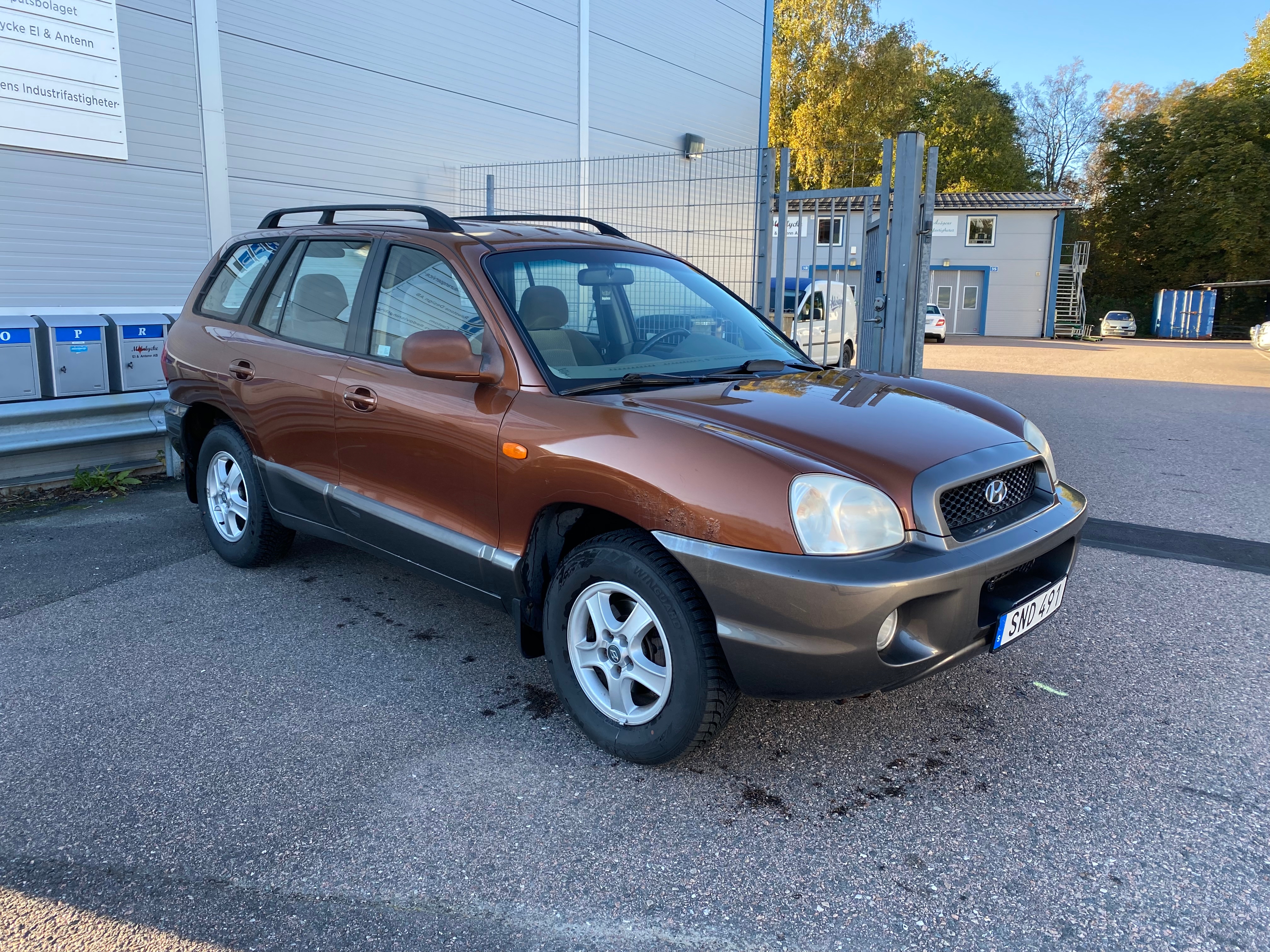 Hyundai Santa Fe 2001, bild 5/36