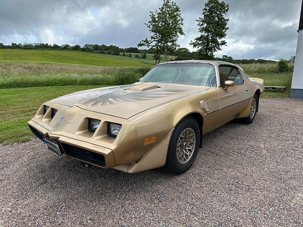 Pontiac Trans Am 6.6 V8 Targa Patina Byte