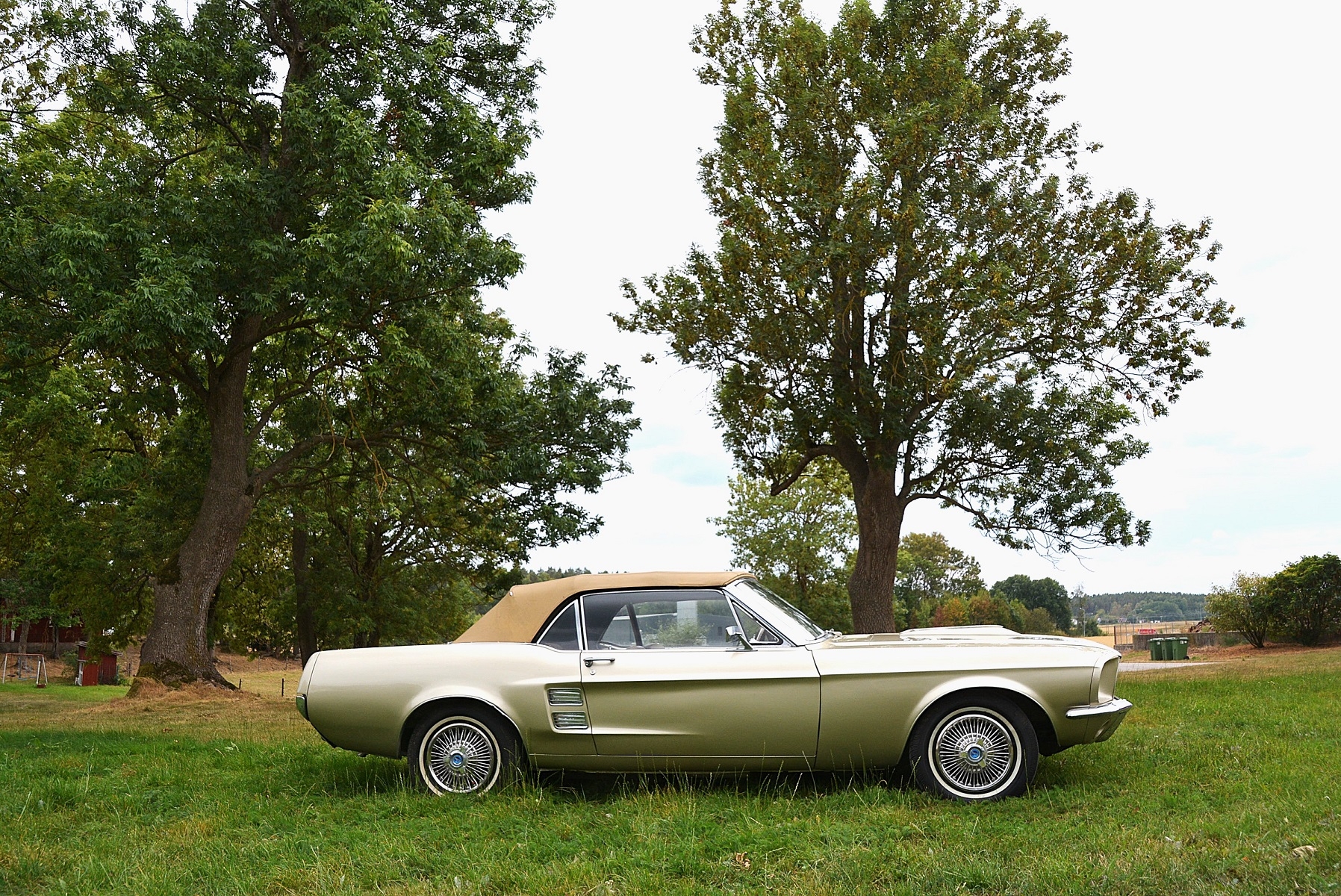 Ford Mustang Cab Renoverad 1967, kuva 3/10