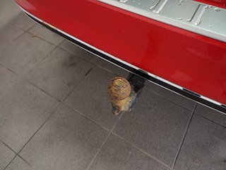Kombi Volkswagen Passat 23 av 23