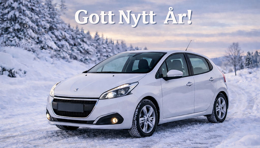 Peugeot 208 1.2 PureTech 82 - *Panorama / Nybesiktigad*