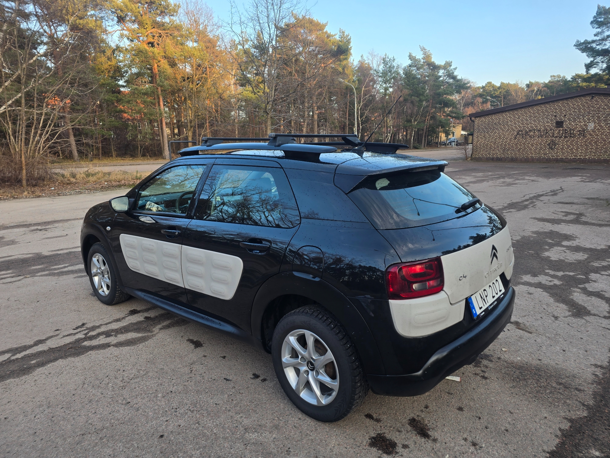 Citroen C4 Cactus 1.2 PureTech Euro 5 2015, bild 7/48