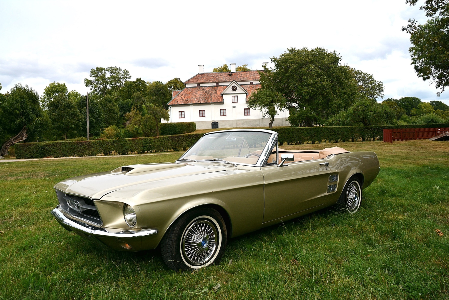 Ford Mustang