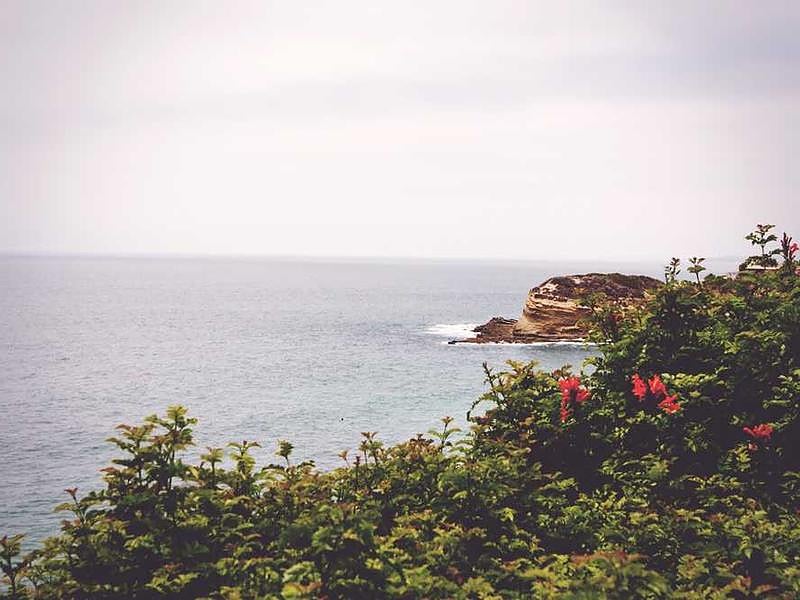 Volkswagen Sharan TESTANNONS