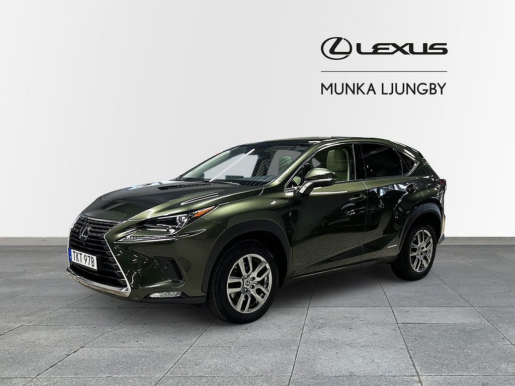 Lexus NX 300h AWD Executive Panorama