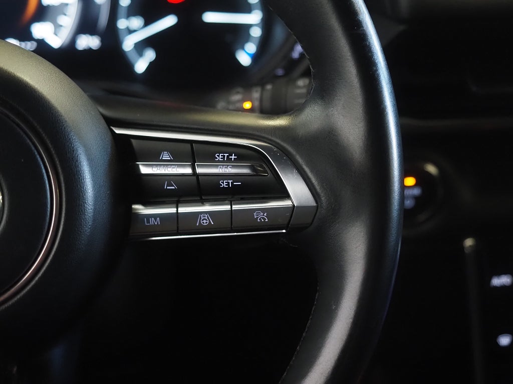 Mazda MX-30 e-Skyactiv EV Cosmo 360° Bose HuD Navi LED Rattvärme 2021