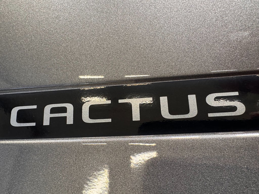 Citroën C4 Cactus 2020 - miniatyr 28