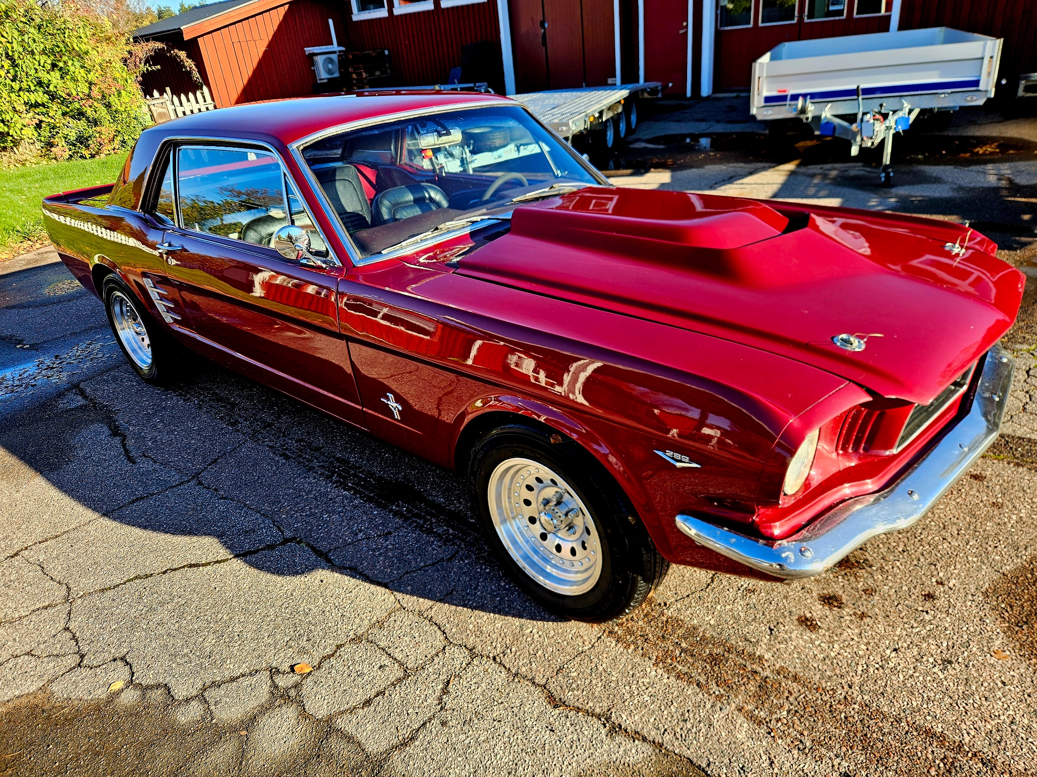 Ford Mustang Hardtop 4.7 V8 1966, bild 4/10