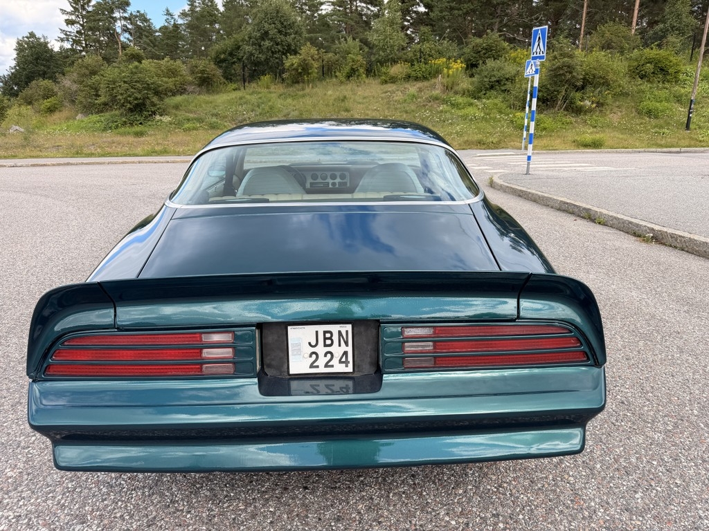Pontiac Firebird 1976, bild 4/31