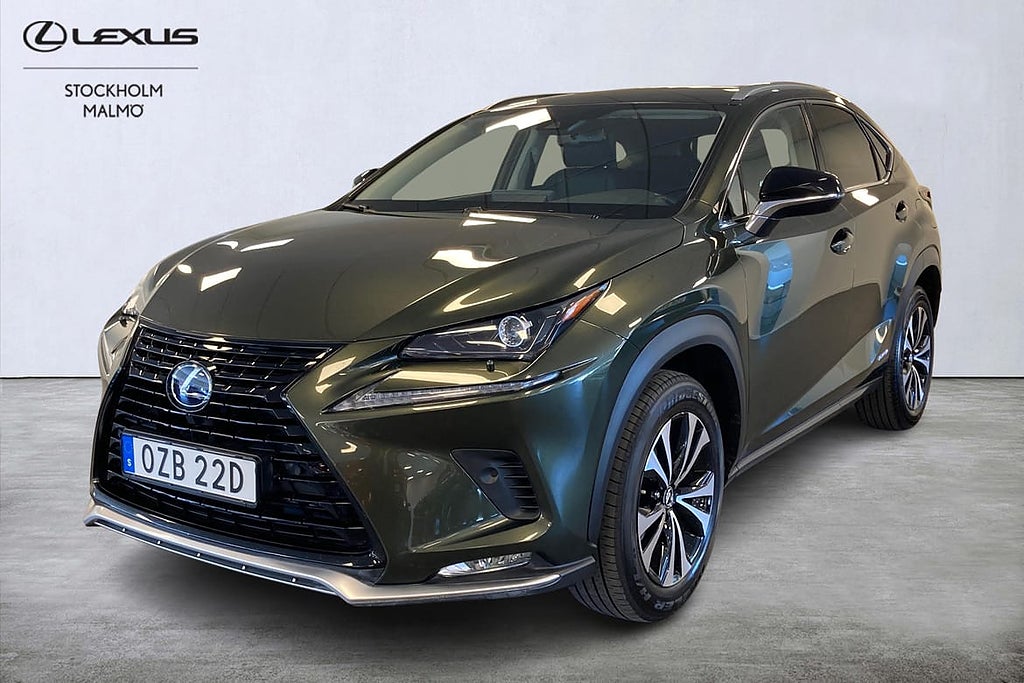 Lexus NX 300h AWD Kyushu Edition Skinn Backkamera Navi