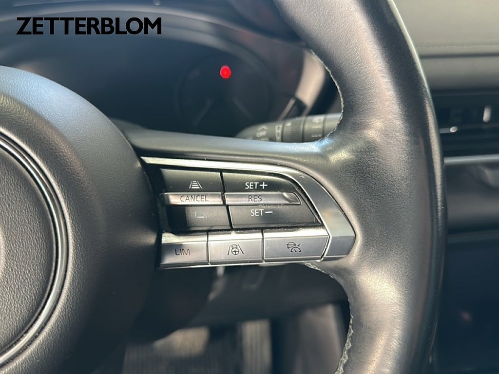 SUV Mazda MX-30 16 av 22