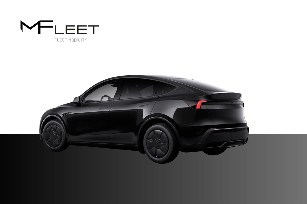 Tesla Model Y Standard RWD fr 2026, bild 2/10